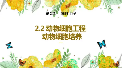 2.2.1 动物细胞培养-高二生物说课课件(人教版2019选择性必修3)