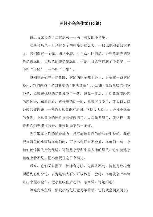 两只小乌龟作文(10篇)精选