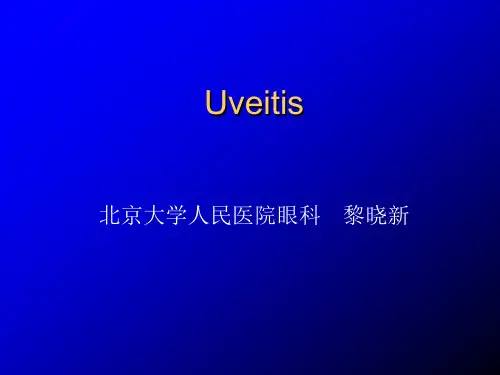 眼科学PPT课件葡萄膜炎解读