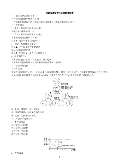 基因分离定律与自由组合定律
