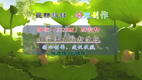 【2020最新】五年级语文下册：范文2  两只小狗-部编(统编)人教版
