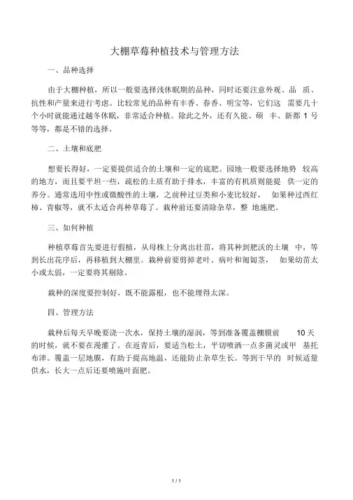 大棚草莓种植技术与管理方法