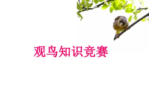 观鸟知识竞赛