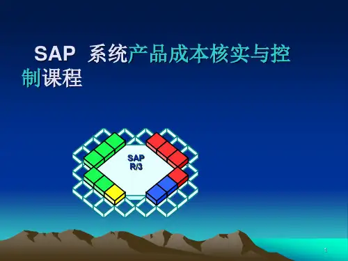 SAP成本核算和成本控制