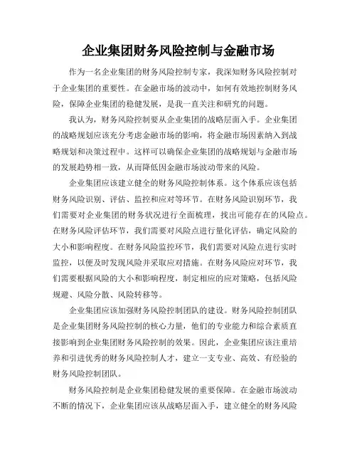 企业集团财务风险控制与金融市场