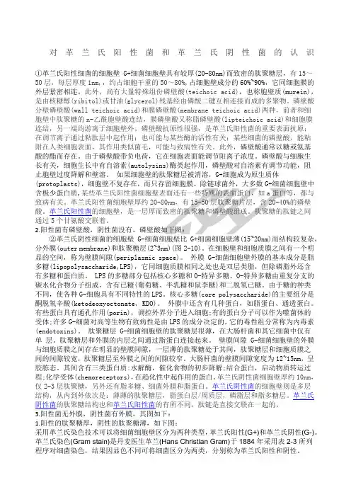革兰氏阳性菌和革兰氏阴性菌细胞壁的构造