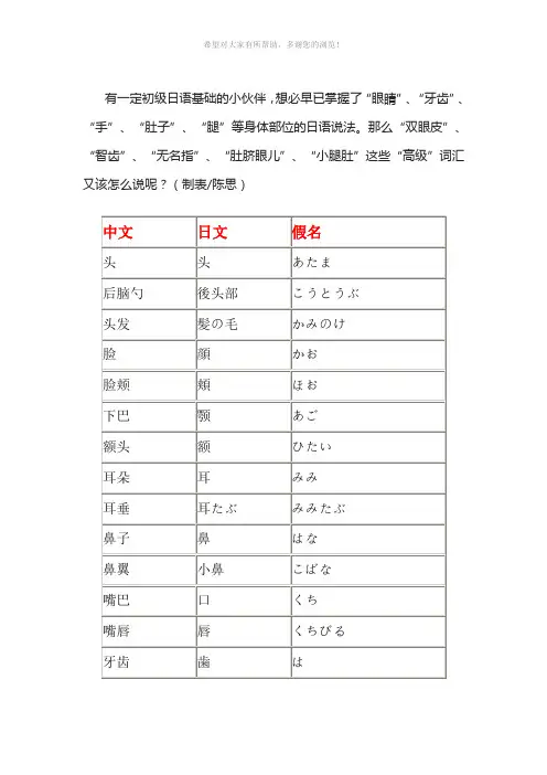 日语身体部位说法