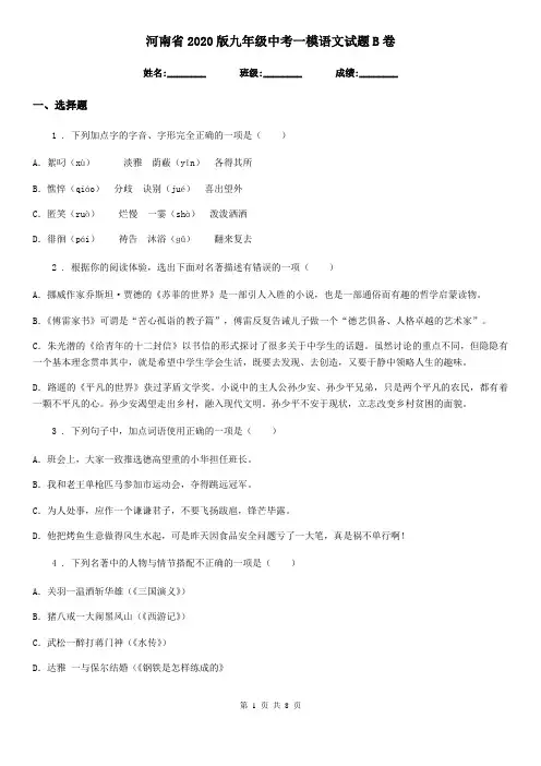河南省2020版九年级中考一模语文试题B卷