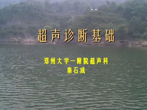 超声诊断基础