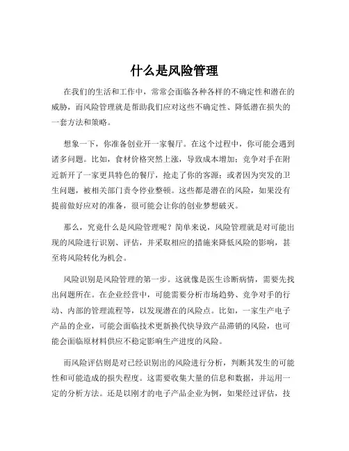 什么是风险管理