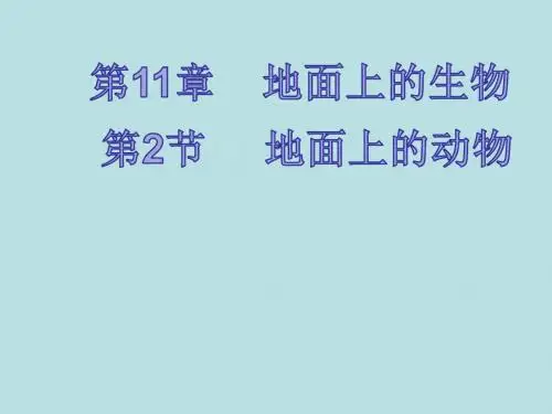 苏科版生物七年级下册5.11.2地面上的动物---家兔 课件(共42张PPT)