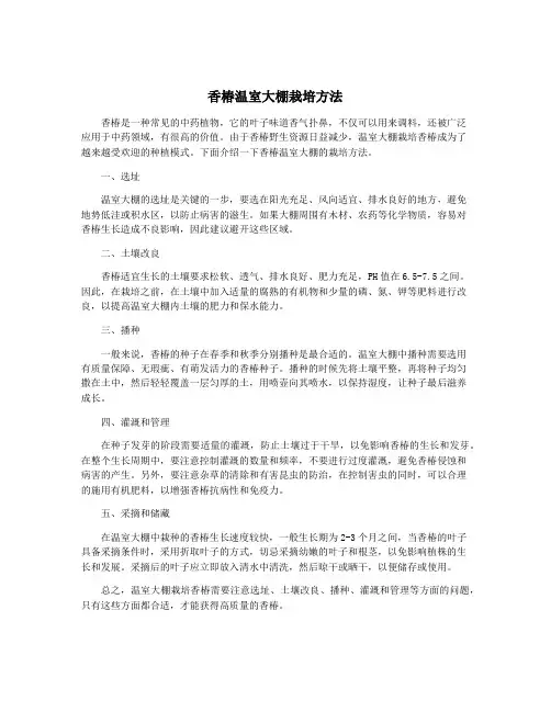 香椿温室大棚栽培方法
