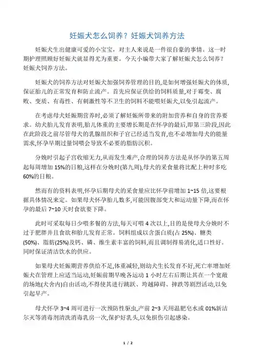 妊娠犬怎么饲养？妊娠犬饲养方法