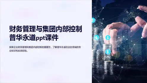 财务管理与集团内部控制普华永道课件