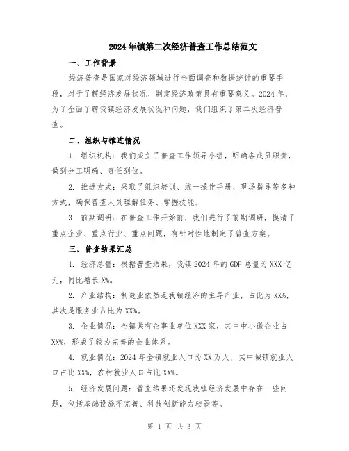 2024年镇第二次经济普查工作总结范文