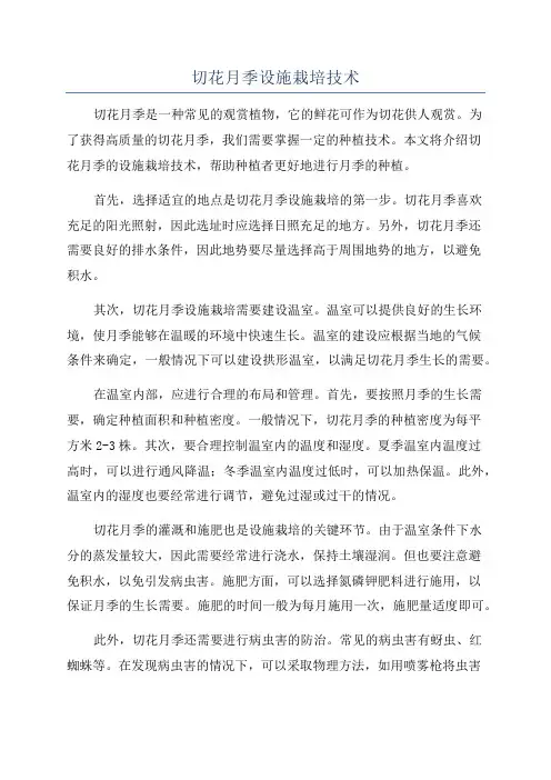 切花月季设施栽培技术