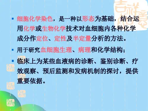 实验：细胞化学染色POX(共69张PPT)