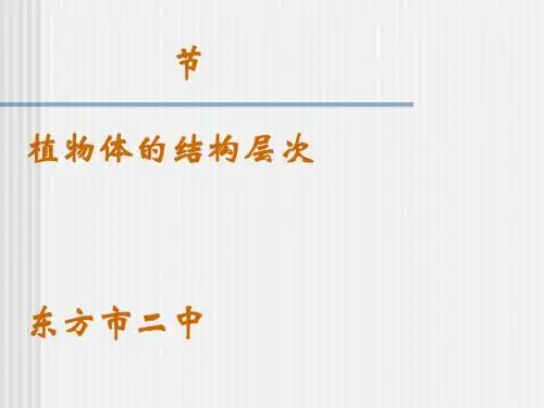 植物体的结构层次PPT课件3