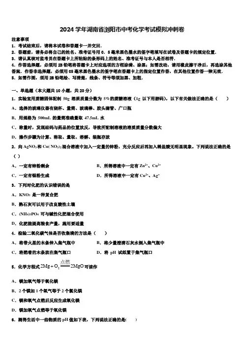 2024届湖南省浏阳市中考化学考试模拟冲刺卷含解析