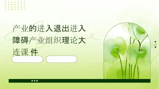 产业的进入退出进入障碍产业组织理论大连课件