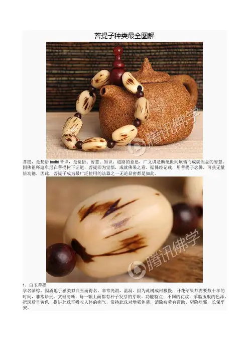 菩提子种类最全图解