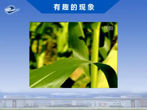 人教版高一物理必修1 3.2弹力课件(共18张PPT)[优质实用版课件]