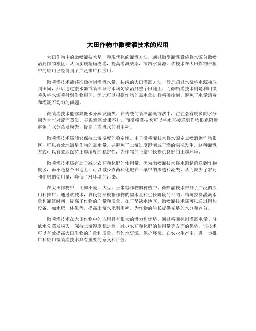 大田作物中微喷灌技术的应用