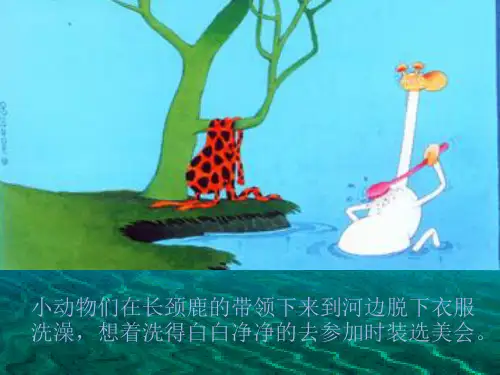 课件《动物的花衣裳》