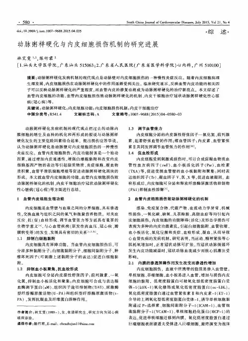 动脉粥样硬化与内皮细胞损伤机制的研究进展