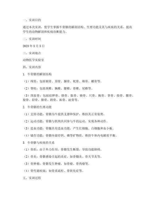 动物医学实训报告牛的骨骼