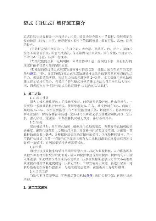 自进式锚杆