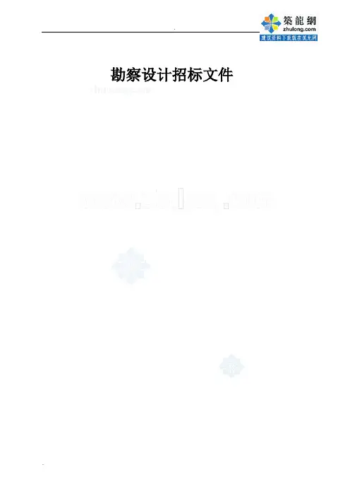 广州道路改造工程勘察设计招标文件