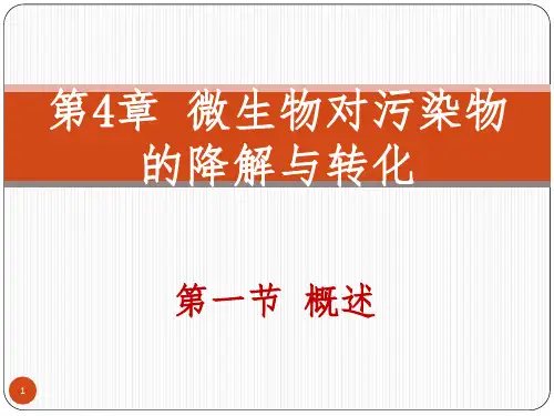 07微生物对污染物的降解与转化