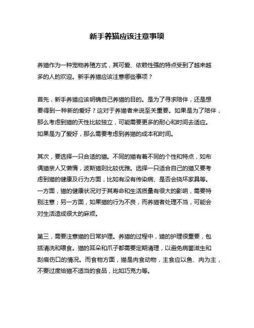 新手养猫应该注意事项