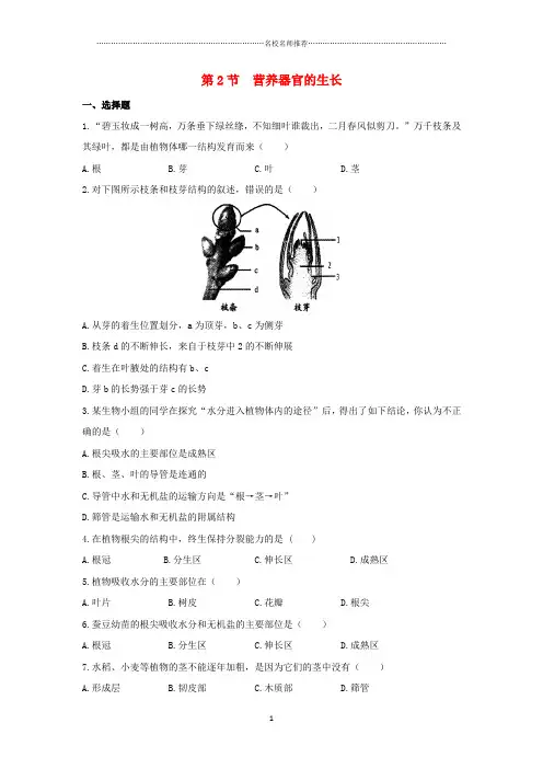 初中七年级生物上册 6.2 营养器官的生长名师精编同步练习 北师大版