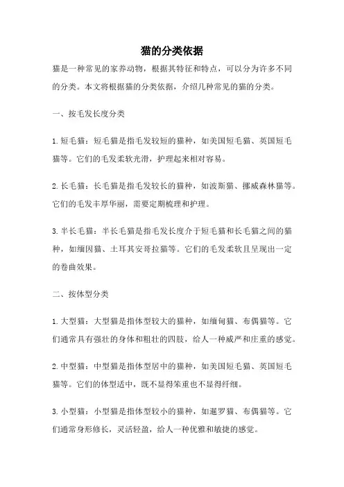 猫的分类依据