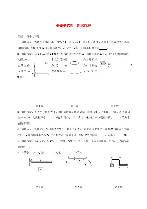 中考物理一轮复习 专题专练四 动态杠杆