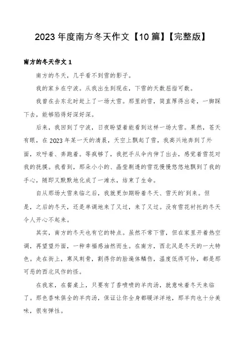 2023年度南方冬天作文【10篇】【完整版】