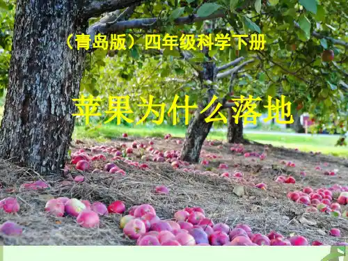 四年级下册科学课件- 苹果为什么落地_青岛版(六年制,三起) (共18张PPT)
