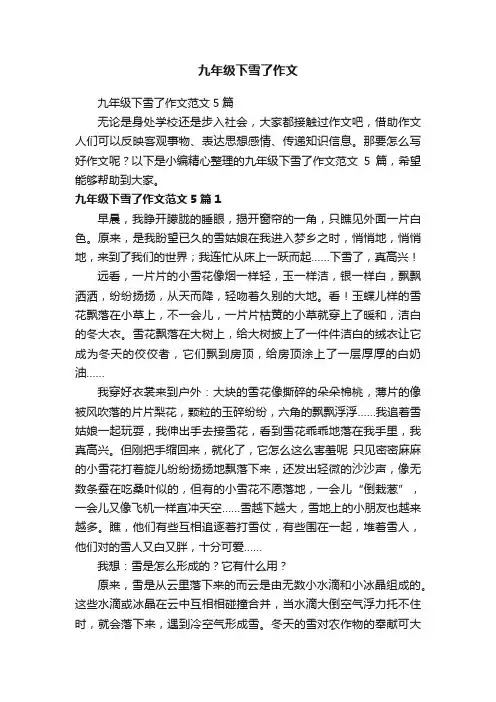 九年级下雪了作文