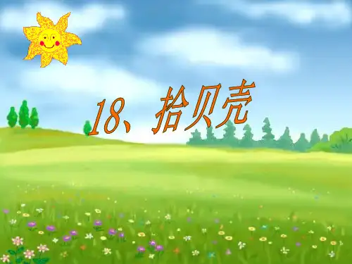 拾贝壳课件ppt
