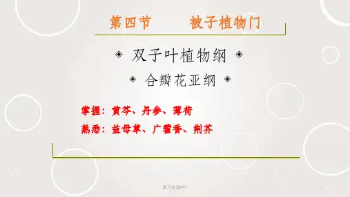 药用植物学与生药学_28唇形科课件