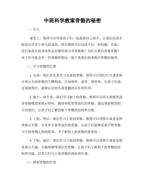 中班科学教案骨骼的秘密