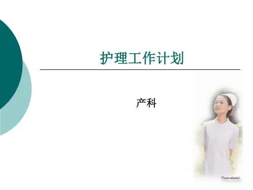 护理工作计划 PPT课件