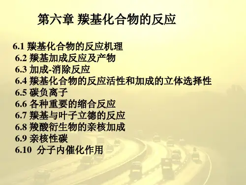 [理学]第六章 羰基化合物的反应