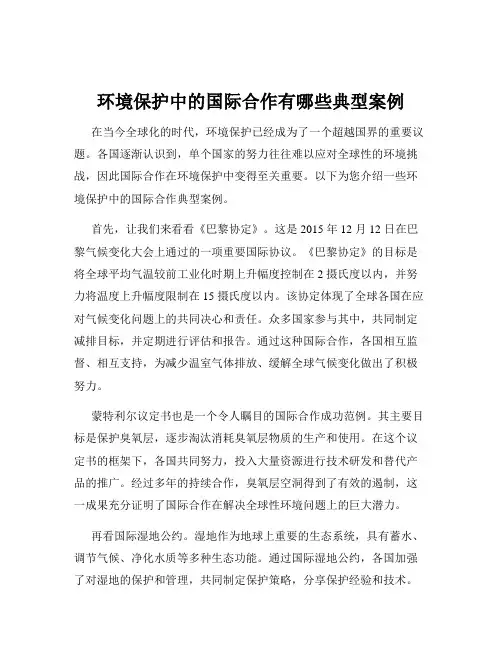 环境保护中的国际合作有哪些典型案例