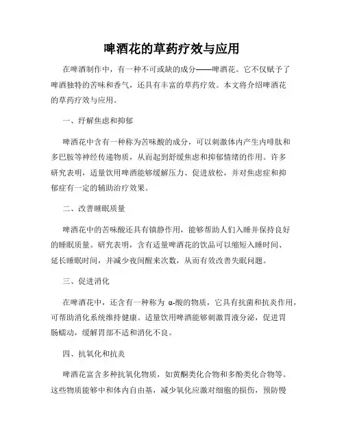 啤酒花的草药疗效与应用