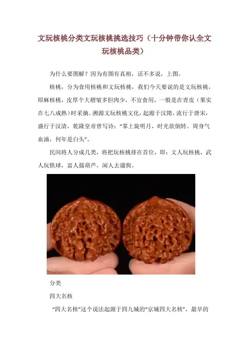 文玩核桃分类文玩核桃挑选技巧(十分钟带你认全文玩核桃品类)