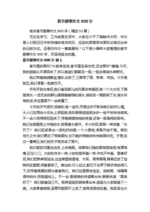 有关春节趣事作文800字（精选53篇）