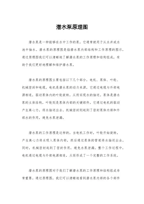 潜水泵原理图